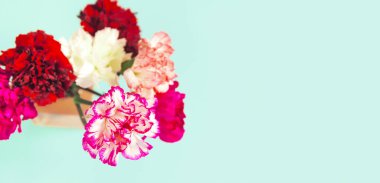 Rengarenk karanfillerden oluşan güzel bir buket yaklaşıyor. Doğa konsepti. Seçici odaklanma. Boşluğu kopyala