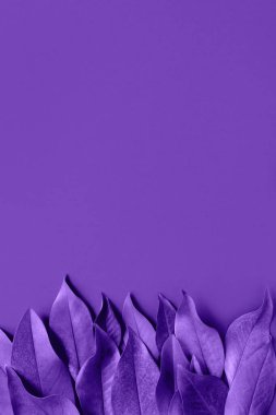 Kurumuş yapraklardan yapılmış en az biçim bileşimi. Sonbahar ve sonbahar konsepti. Yaratıcı düzen. Düz konum, üst görünüm, kopyalama alanı. ses efekti