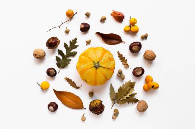 Beyaz arka planda balkabaklarından, kuru yapraklardan, kestanelerden ve meşe palamutlarından oluşan güz yaratıcı kompozisyonu. Sonbahar, sonbahar, Cadılar Bayramı konsepti. Düz yatış, üst görünüm.