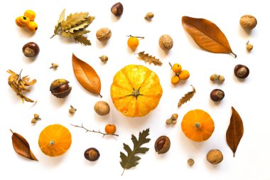 Beyaz arka planda balkabaklarından, kuru yapraklardan, kestanelerden ve meşe palamutlarından oluşan güz yaratıcı kompozisyonu. Sonbahar, sonbahar, Cadılar Bayramı konsepti. Düz yatış, üst görünüm.