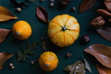 Sonbahar kompozisyonu balkabağı, kuru yapraklar, kestaneler ve meşe palamudu. Sonbahar, sonbahar, Cadılar Bayramı konsepti. Düz yatış, üst görünüm.