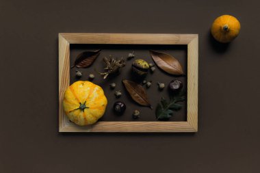 Kahverengi arka planda, kabaklardan, kurumuş yapraklardan, kestanelerden ve meşe palamudlarından oluşan sonbahar kompozisyonu. Sonbahar, sonbahar, Cadılar Bayramı konsepti. Düz konum, üst görünüm, kopyalama alanı