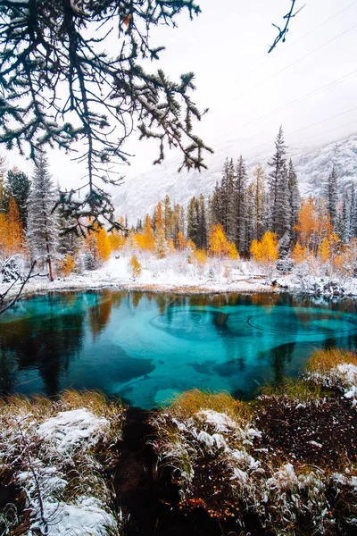 Fantastisch blauw geiser meer in het herfstbos. Altai, Rusland. — Stockfoto