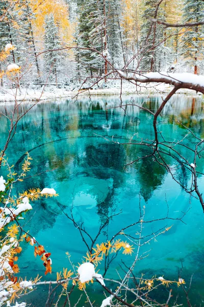 Fantastisch blauw geiser meer in het herfstbos. Altai, Rusland. — Stockfoto