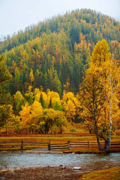 Bela paisagem no outono. Montanhas com floresta de outono colorido em nublado . — Fotografia de Stock