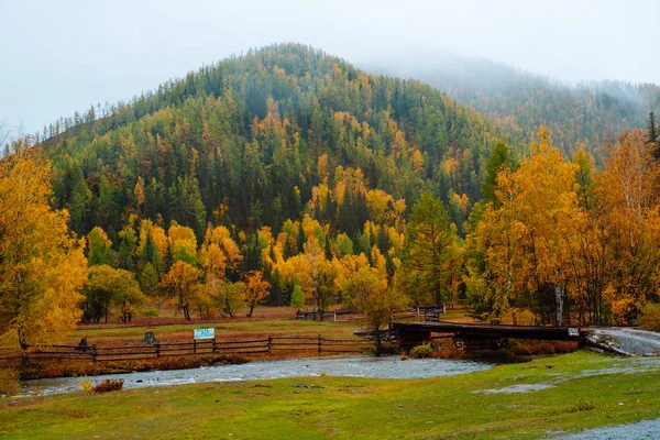 Горы с цветным осенним лесом в пасмурную погоду. Красивый пейзаж осенью . — стоковое фото
