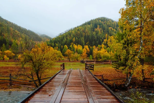 Bergen met kleurrijke herfst bos bij bewolking. Prachtige landschap in de herfst. — Stockfoto