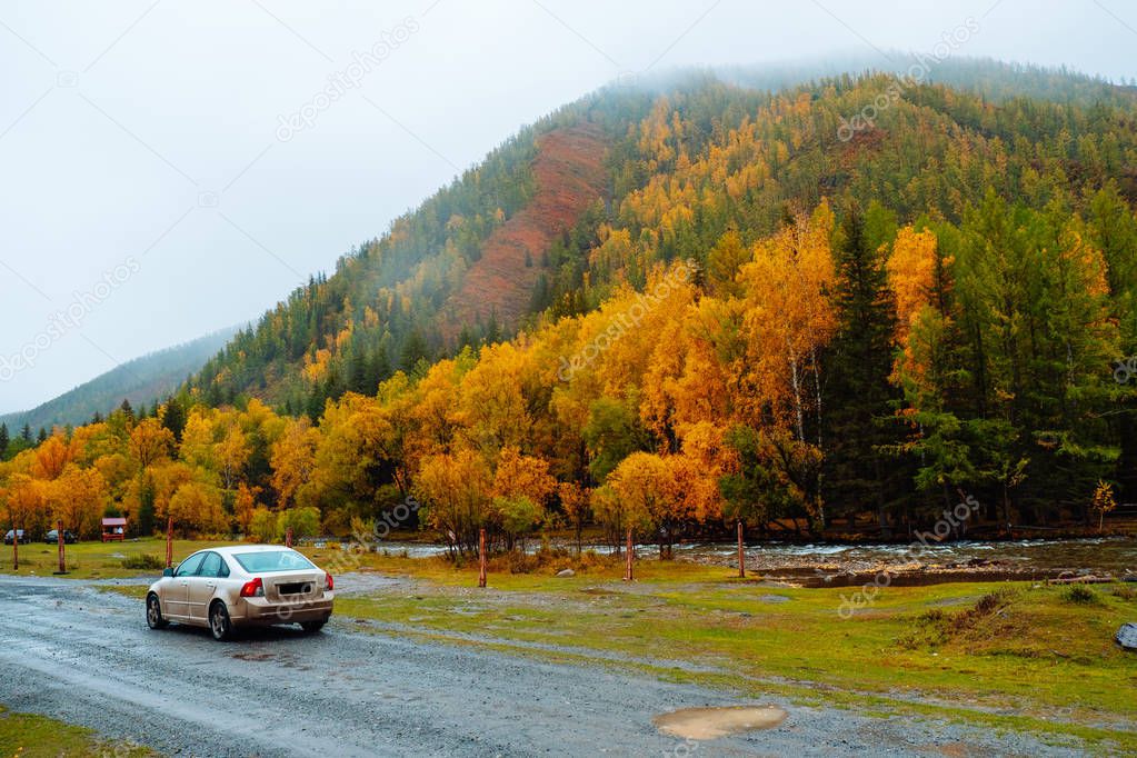 Traveling car. Mountains with colorful autumn forest at overcast. Beautiful landscape in autumn.