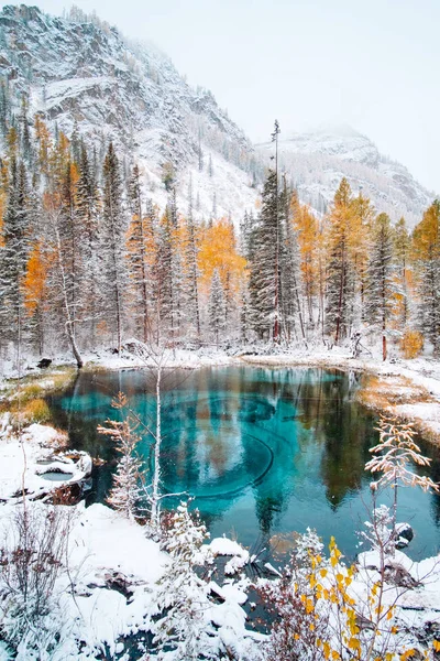 Fantástico lago géiser azul en el bosque de otoño. Altai, Rusia. —  Fotos de Stock