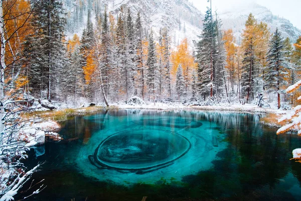 Fantastické modré gejzírové jezero v podzimním lese. Altai, Rusko. — Stock fotografie