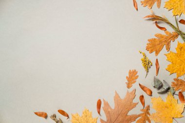 Portre renkli sonbahar akçaağaç çerçevesinde bırakır