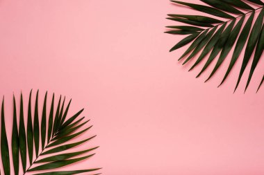 Trendy Yaz tropikal, pembe arka plan bırakır. Yaz parlak renk. En az stili.