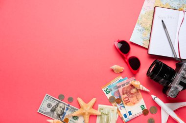 Uçak ve pembe bir arka plan üzerinde para. Seyahat kavramı.