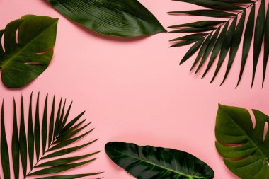 Trendy Yaz tropikal, pembe arka plan bırakır. Yaz parlak renk. En az stili.