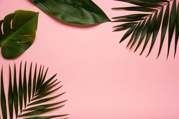 Trendy Yaz tropikal, pembe arka plan bırakır. Yaz parlak renk. En az stili.