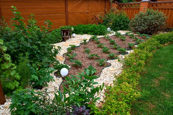 Tuin ontwerp. Flowerbed in de werf in het ontwerp van het landschap — Stockfoto