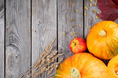 Sonbaharda hasat Şükran kabak, elma, buğday kulak ve ahşap zemin üzerine düşen yapraklar. Mevsim sonbahar gıda