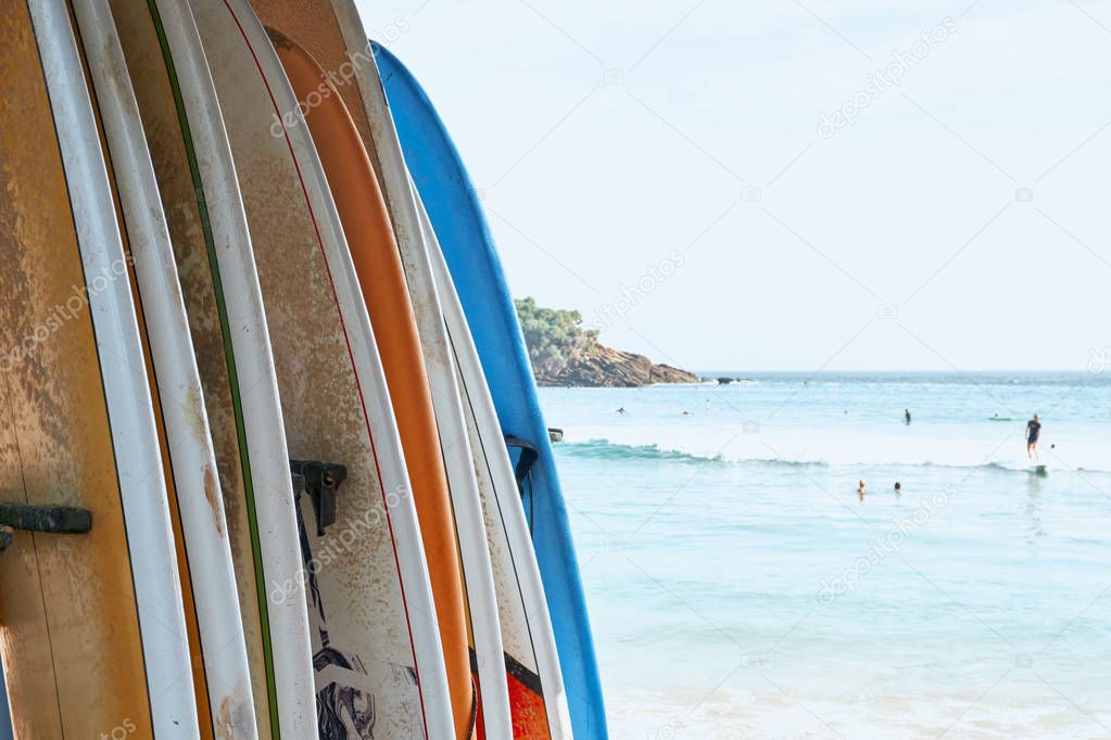 Various Surf Board on Sand Beach Ocean Background