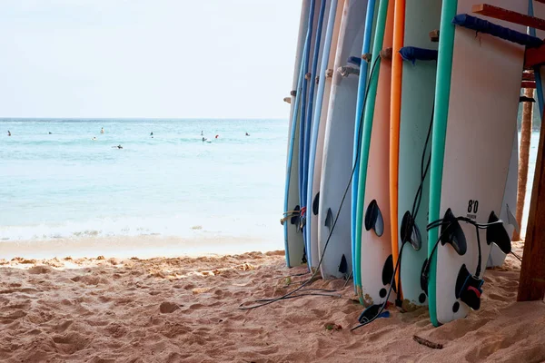 Varias tablas de surf en arena playa océano fondo —  Fotos de Stock