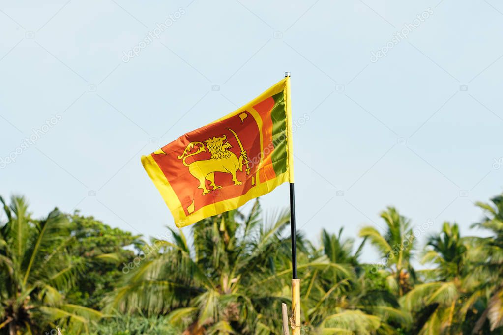 National Flag of the Sri-Lanka in the wind 