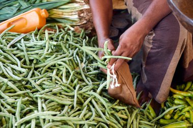 Pazar satıcı kuşkonmaz Eko Tekstil çanta koymak.