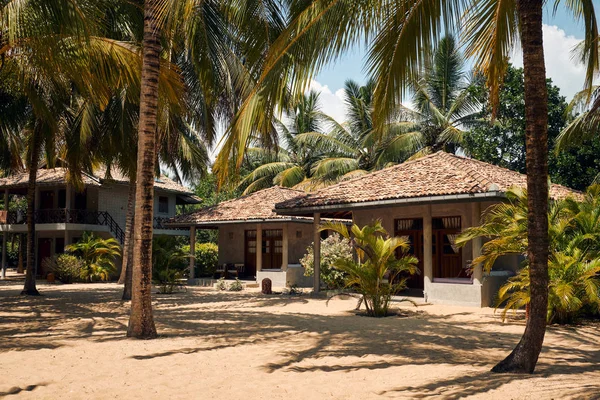 Tropical Villa on Beach with Coconut Palm Tree