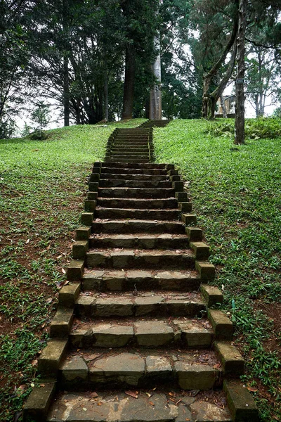 Green Stairs to Hill in King Garden of Peradeniya