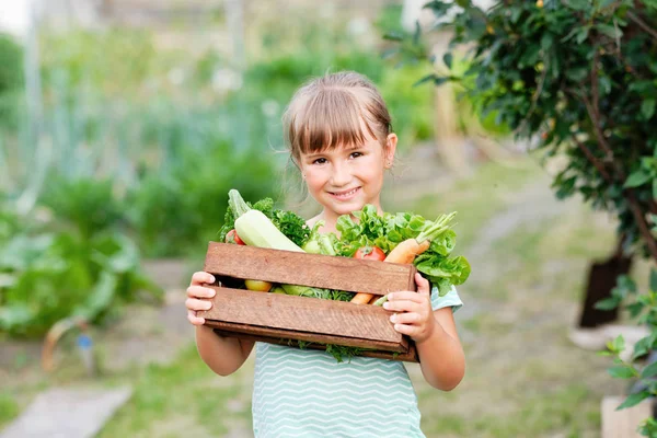 Malá holčička s košíkem plným sklizní organická zelenina a kořen na ekologické bio farmě. Podzimní sklizeň zeleniny — Stock fotografie