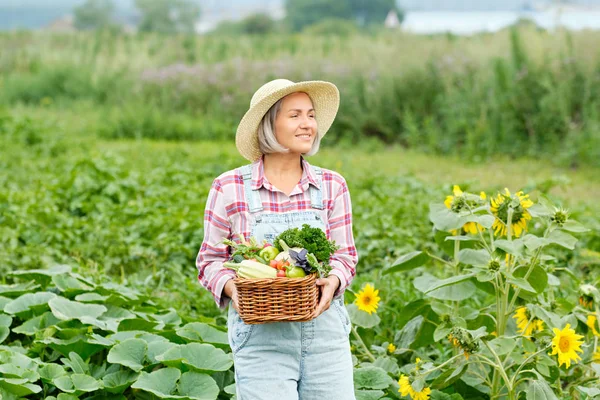 Жінка тримає кошик, повний врожаю органічних овочів і коріння на органічній біо фермі. Осінній урожай овочів — стокове фото