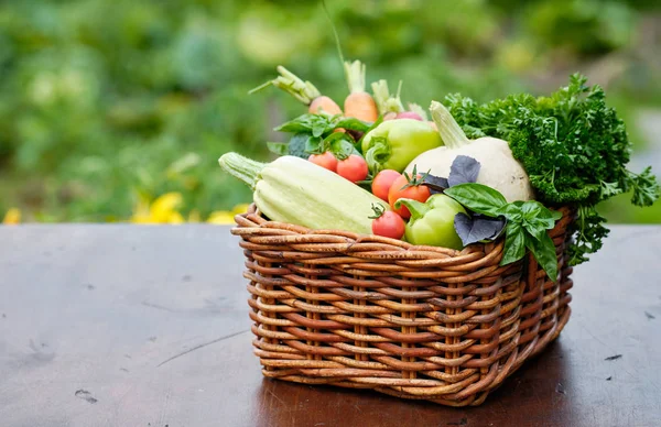 Panier rempli de légumes biologiques récoltés et de racines dans un jardin. Récolte de légumes d'automne — Photo