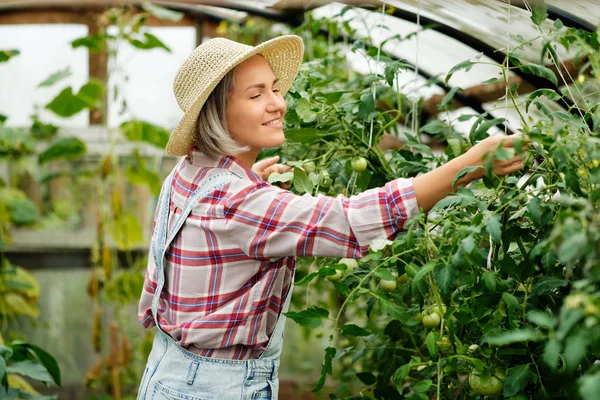 Söt flicka i klädd hatt som arbetar i ett hem växthus. Höst grönsaksskörd — Stockfoto