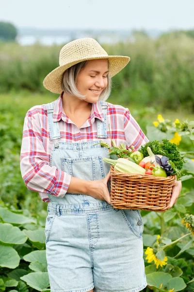 Kvinne som holder en kurv full av økologiske grønnsaker og rot på økologisk biogård. Høsting av vegetabilsk høsting – stockfoto