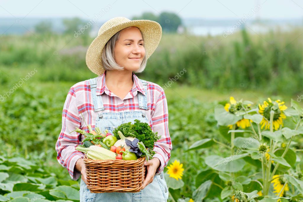 Woman Holding a Basket full of Harvest Organic Vegetables and Root on Organic Bio Farm. Autumn Vegetable Harvest