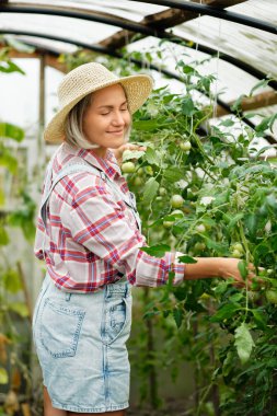 Bir Ev Sera çalışan Şapka Giyen Sevimli kız. Sonbahar Sebze Hasadı