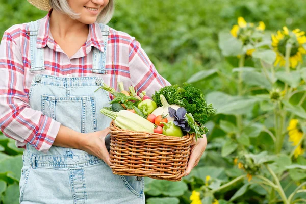 Frau mit einem Korb voll geerntetem Bio-Gemüse und Wurzel auf dem Bio-Bauernhof. Gemüseernte im Herbst — Stockfoto