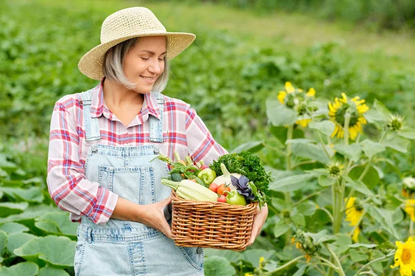 Mujer sosteniendo una cesta llena de hortalizas orgánicas de cosecha y raíz en la granja biológica Bio. Cosecha Vegetal de Otoño — Foto de Stock