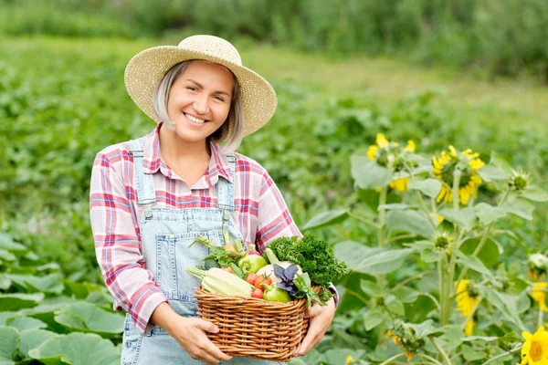 Bir sepet dolusu organik sebze ve organik biyoloji çiftliğinde kök tutan kadın. Sonbahar Sebze Hasadı — Stok fotoğraf