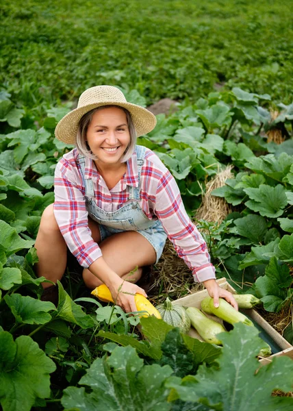Söt flicka i klädd hatt plocka färskaste squash och zucchini i en trädgård. Höst grönsaksskörd — Stockfoto