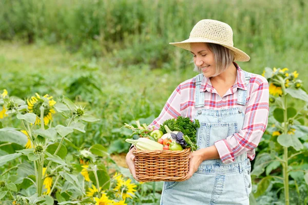 Kobieta trzymająca koszyk pełen warzyw organicznych i korzeni na ekologicznej farmie biologicznej. Jesienne zbiory warzyw — Zdjęcie stockowe