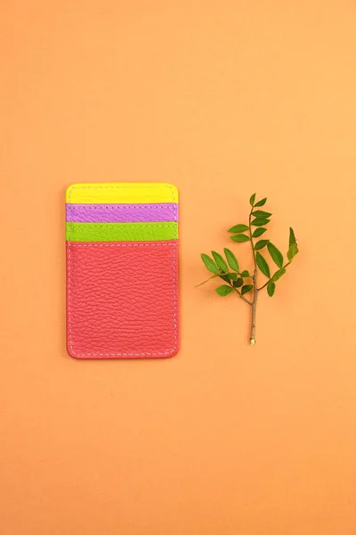 MultiColored stílus Bőrpénztárca a hitelkártya — Stock Fotó
