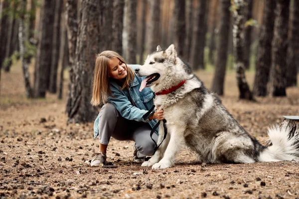 Rapariga com seu cão, Malamute do Alasca, ao ar livre no outono. Animais domésticos — Fotografia de Stock