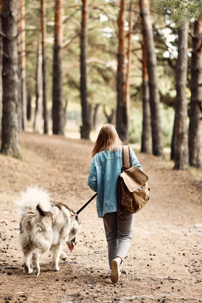 Mujer Paseando Perro. Chica joven con su perro, Alaska Malamute, al aire libre en otoño. Mascota doméstica — Foto de Stock