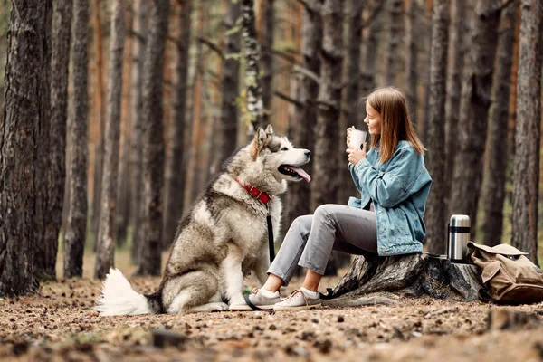 Junges Mädchen mit ihrem Hund, Alaska Malamute, im Herbst im Freien. Haustier — Stockfoto