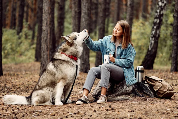 Ung flicka med sin hund, Alaska Malamute, Utomhus på hösten. Husdjur — Stockfoto