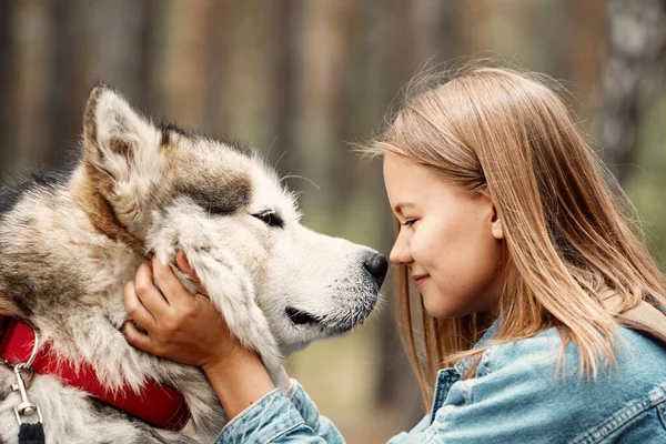 Genç kız ve köpeği Alaska Malamute, Sonbaharda açık havada. Evcil hayvan