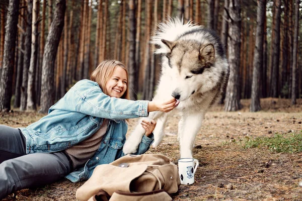 Giovane ragazza con il suo cane, Alaskan Malamute, Outdoor in autunno. Animali domestici — Foto Stock