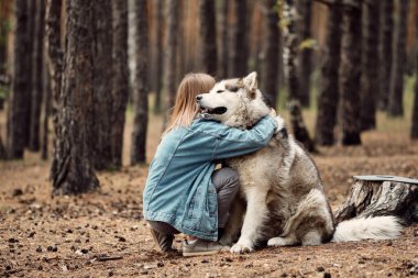 Genç kız ve köpeği Alaska Malamute, Sonbaharda açık havada. Evcil hayvan