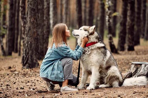 Młoda dziewczyna z psem, Alaskan Malamute, Na zewnątrz jesienią. Zwierzęta domowe — Zdjęcie stockowe