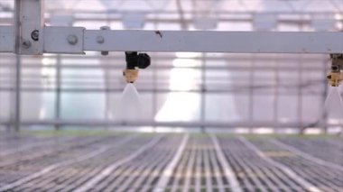 Sera sulama sistemi devrede. Hidrofonik sistem