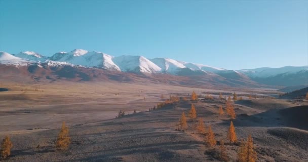 Panorama del bosque de montaña de otoño con nevados picos macizos detrás. — Vídeos de Stock